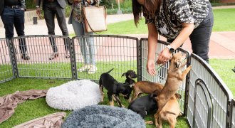 A Dialogue on Education